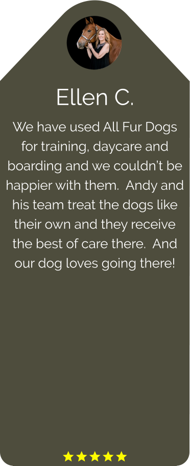 Ellen C. We have used All Fur Dogs for training, daycare and boarding and we couldn’t be happier with them.  Andy and his team treat the dogs like their own and they receive the best of care there.  And our dog loves going there!          