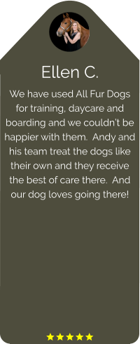 Ellen C. We have used All Fur Dogs for training, daycare and boarding and we couldn’t be happier with them.  Andy and his team treat the dogs like their own and they receive the best of care there.  And our dog loves going there!          